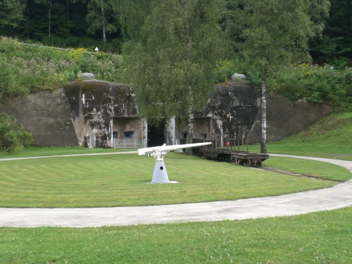 231.jpg