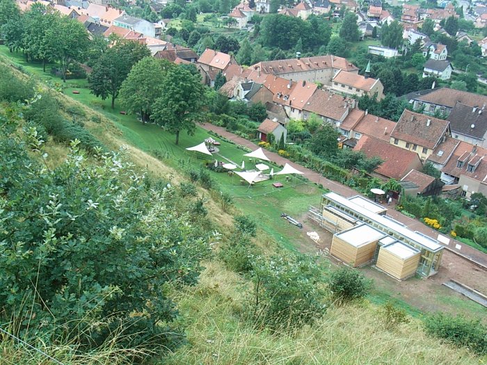 262.jpg