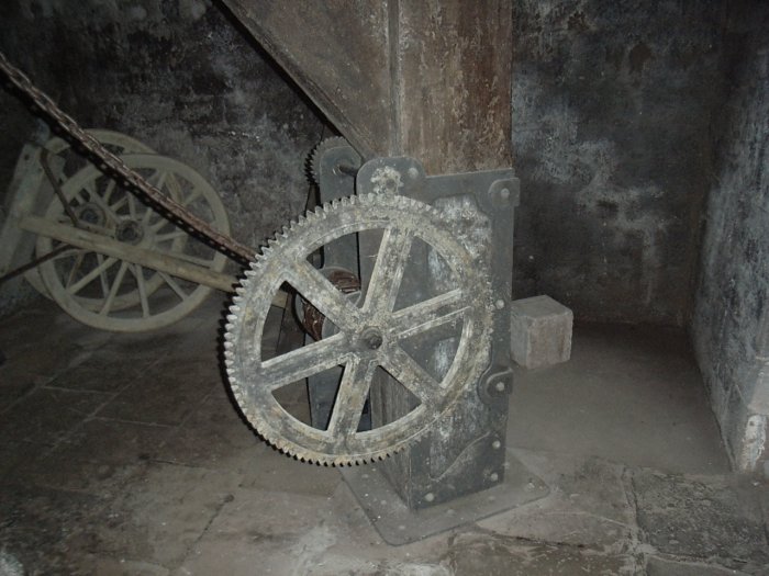 269.jpg